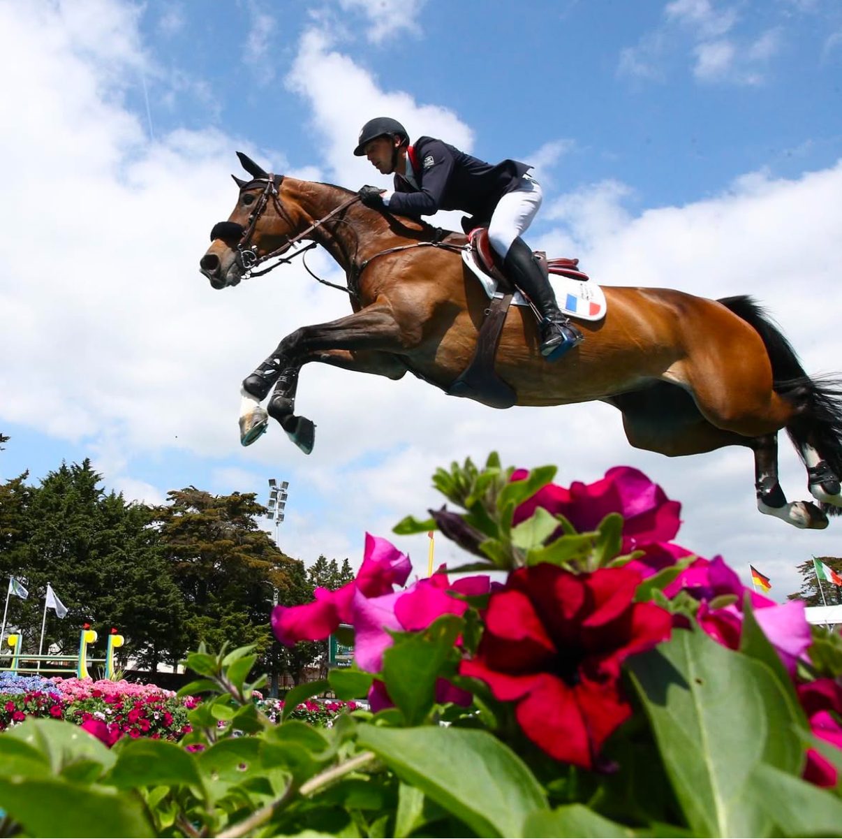 Cheval à l'obstacle sur la piste en herbe du Jumping International de La Baule