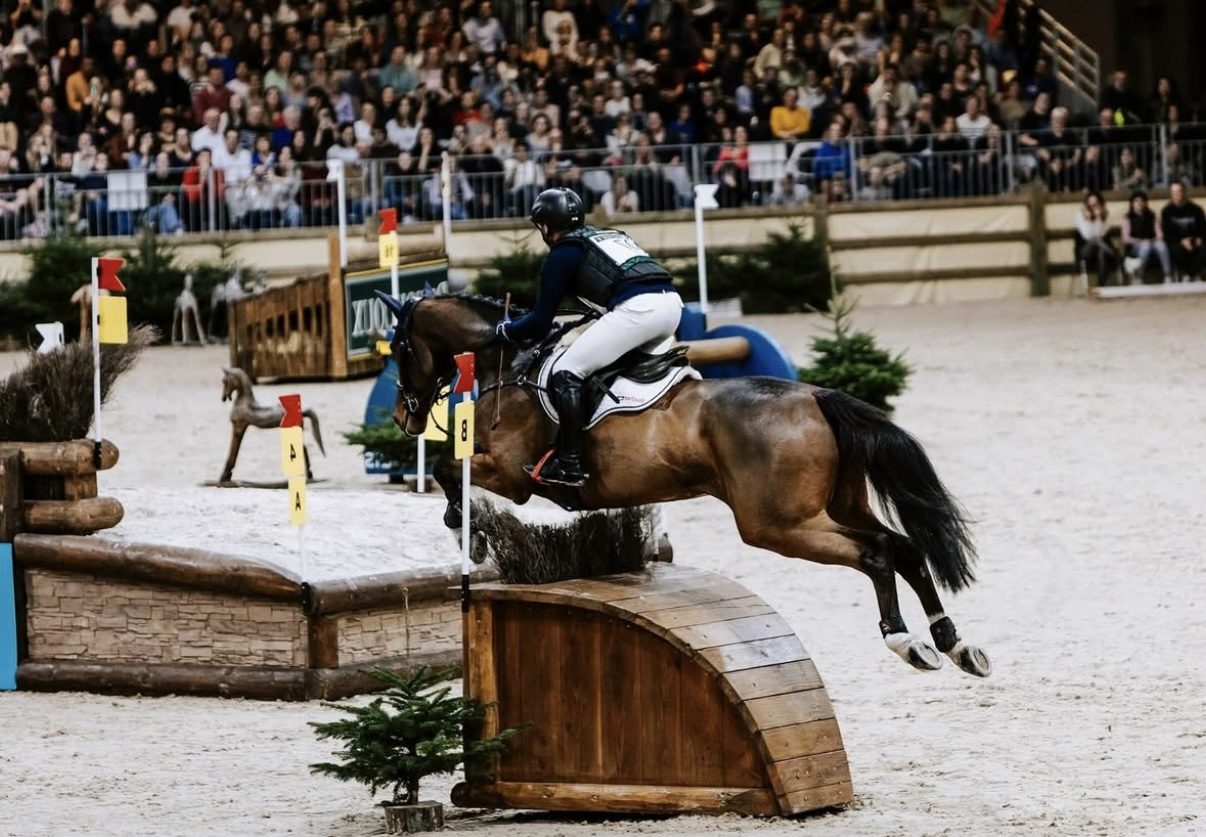 Cheval à l'obstacle lors du cross indoor d'EquiSeine